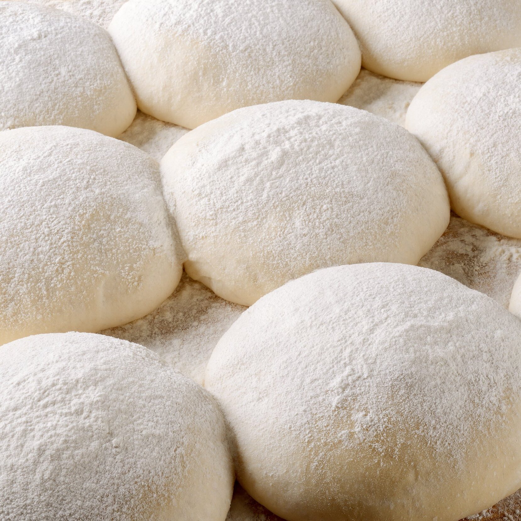 Dough balls for pizza during the leavening